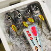 「魚魚市場鮮魚コーナーおすすめは「クロムツ・イカ」です♪」