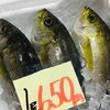 「魚魚市場鮮魚コーナーおすすめは「イサキ・ホタルイカ」です♪」
