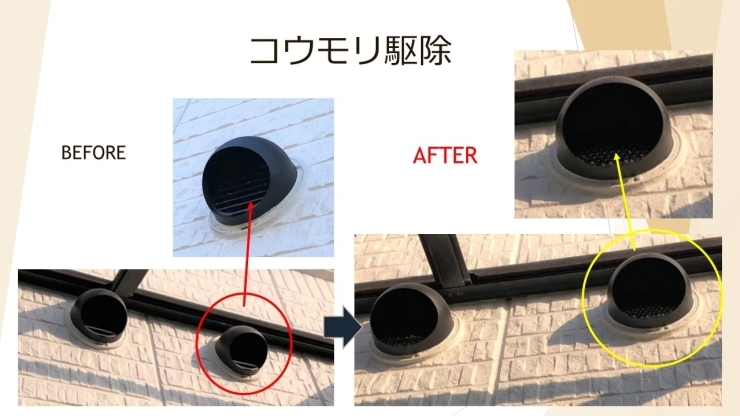 から厳選した コウモリ駆除 侵入防止邦和防除通気材 通気性確保 蝙蝠