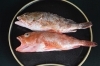 「０４月２９日　本日のおすすめ品！！」