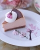 「今年も桜まつり始まります🌸🌸」