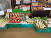 「北浦荘です‼本日新鮮野菜沢山入荷しています！」