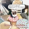 ジムニーのお部屋からご挨拶✨「お休み2日目」