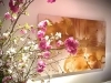 お花「5月店休日のお知らせ✨」