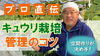 「初心者〜プロに向けて！　キュウリの栽培管理・耐病性・環境制御　タネのハシモト」