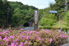 トンネルをぬけると記念館「トンネルをぬけると記念館があります！」