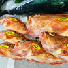 「魚魚市場鮮魚コーナーおすすめは「ノドグロ・天然鯛」です♪」