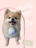 「Dog salon mofu mofu　余市町」