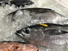 「魚魚市場鮮魚コーナーおすすめは「岩かき」です♪」