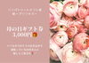 母の日ギフト まだ間に合います！「もうすぐ母の日 まだ間に合います リンパトリートメント店 妃～プリンセス～」