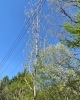 夏空「立夏」