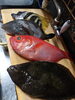 魚「金目鯛、ウマズラハギ、ひらめ、十四代、磯自慢」