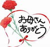 「母の日に贈るプリザーブドフラワー✨」