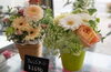 「母の日特集！【あかがねポイントが貯まる・使えるお店】花の大野」
