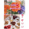 「定休日、一部変更のお知らせです！出雲駅前♡火鍋の美味しい【鍋や中じい】」