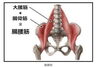 腸腰筋「【リハビリ】いつもご利用有難うございます【松江】【安来】」