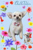 「Dog salon mofu mofu　余市町」