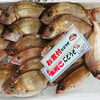 「魚魚市場鮮魚コーナーおすすめは「天然鯛・あおさ」です♪」