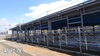 新社屋「TOMAEIグループ 新社屋建設中　苫小牧市柳町」