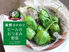 「岩手県遠野市産『遠野パドロン』です。」