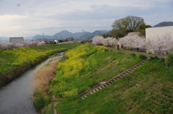 天気が良い日に散歩などいかがでしょうか。