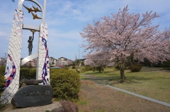 公園を囲むように桜の木があります。