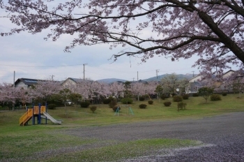 滑り台があります。