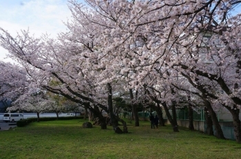 中は広場になっています。