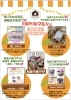 「いよいよ来週5月21日FORYOUマルシェ開催♪」