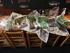 山菜「山菜入荷　タラの芽、山ウド、クワダイ、こごみ、ミズ」