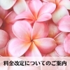 「料金改定のお知らせです　ロミロミ・エステの資格取得　プライベートサロン&スクール　feel（フィール）」