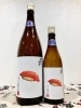 「～商品入荷のご案内～【福島区 日本酒セラー HARETOKE】」