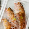 「魚魚市場鮮魚コーナーおすすめは「アラカブ・クロ」です♪」