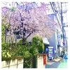 「第35回　叶夢珈琲マルシェ！！　葛飾区南水元」
