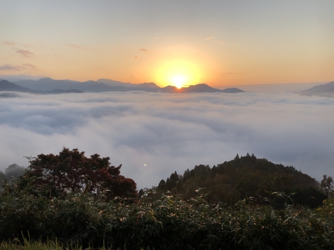 高千穂で実際に見た雲海「そもそもカウンセリングとは」