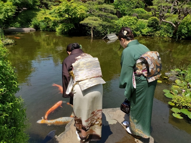 おでかけ会「着物でお食事会」