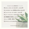 「✨曜日別イベント【パーソナルストレッチ】✨」
