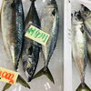 「魚魚市場鮮魚コーナーおすすめは「レンコ鯛・ノドグロ・トビウオ」です♪」
