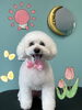「可愛い子ちゃん♡ Dog salon mofu mofu 余市町」
