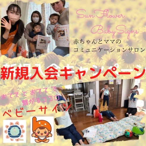 「SunFlower BabySigns新規入会キャンペーン」