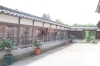 五十公野公園 あやめ園 の開花状況が公開中 新発田 まいぷれ新発田編集部のニュース まいぷれ 新発田 胎内 聖籠