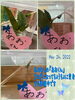 「あおむしの『あおくん』d(^_^o)【交野市・小規模保育園】」