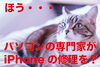 猫さん「iPhone修理やってます。」