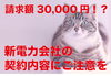 電気料金に驚く猫「新電力会社の契約プランにご注意を」
