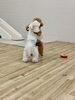 じろう山　押してます😤「わんこ相撲🐶」