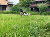 「草刈りの費用を抑える方法【浜松で遺品整理・生前整理・お掃除・不用品回収ならプロハーツ】」