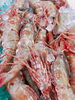 活牡丹海老特大です。「噴火湾産の牡丹海老生です!」