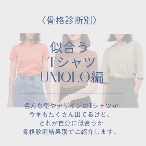 「骨格診断別似合うTシャツ〜UNIQLO編〜」