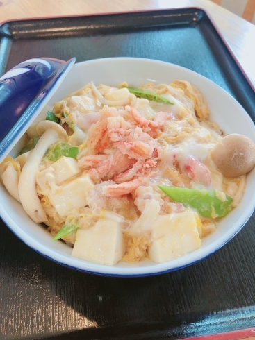 蟹肉と豆腐の卵とじ丼「5/29 Today’s Special 」