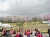 H27.4.11に行われてみねやま花まつり(東那須公園)<br><br>約11万株の水仙の花と桜の咲き誇る中、地元のお囃子保存会のこどもたちや60歳以上のひとたちの創作ダンスが披露されたり、祭りでは地元婦人会によるとん汁が無料で配られたりと花と味覚を楽しみました。
